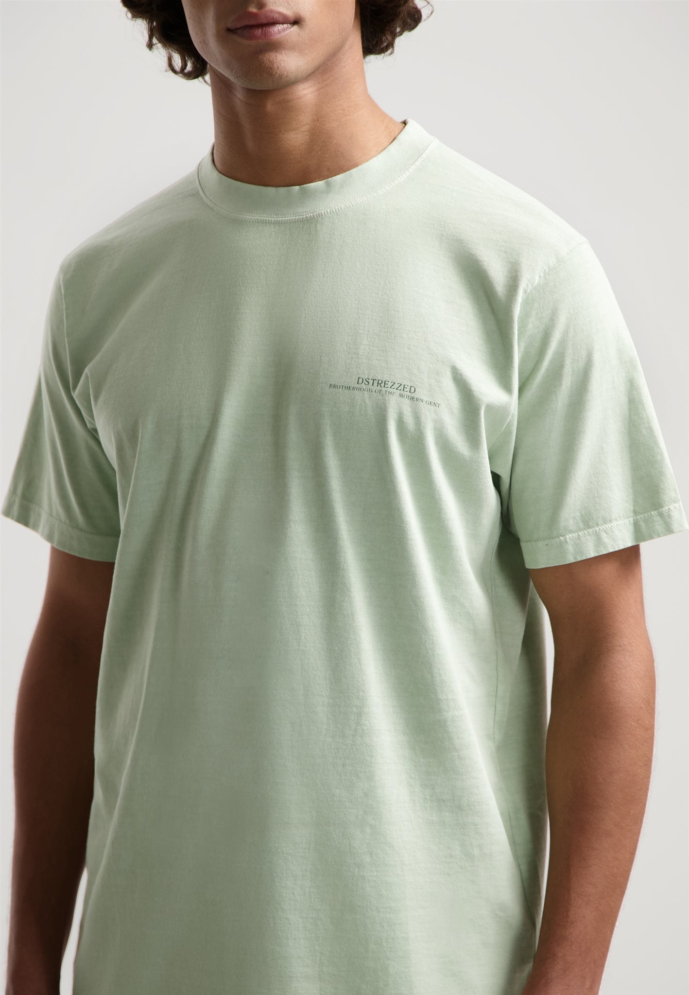 Nickolas Graphic Tee Sage